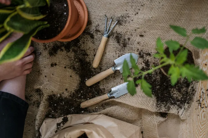 Jardinería activa: cómo cultivar plantas puede ser tu nuevo entrenamiento funcional
